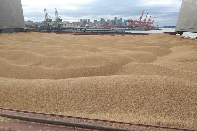 У порівнянні з минулим роком Україна скоротила експорт зернових в 1,8 рази