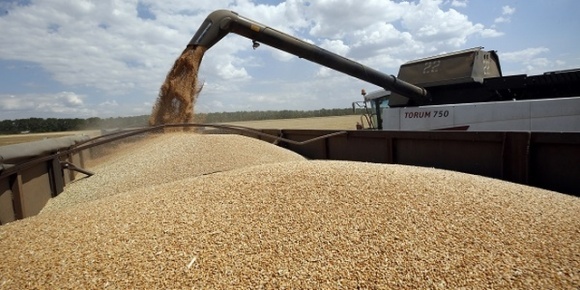 Рада внесла зміни до Податкового кодексу щодо повернення виручки від експорту зерна