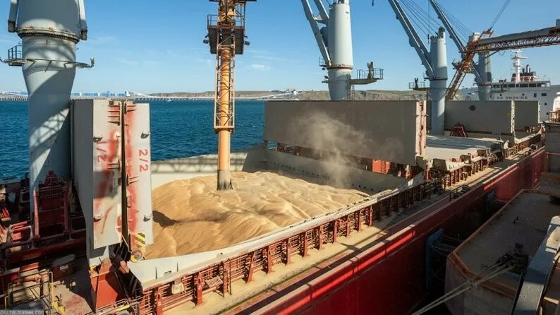 Українське зерно пішло на експорт через хорватські порти